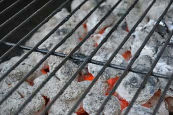 briquettes barbecue